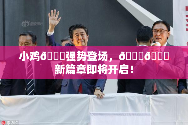 小鸡🐔强势登场，🍑🔞新篇章即将开启！