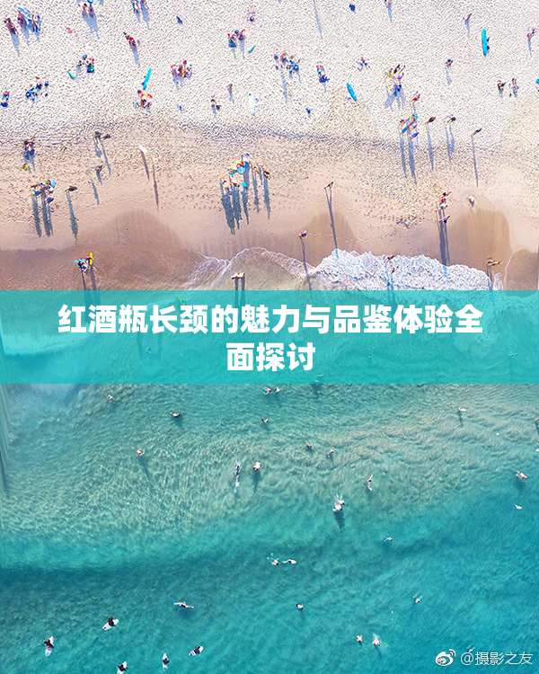 红酒瓶长颈的魅力与品鉴体验全面探讨
