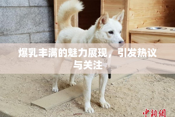 爆乳丰满的魅力展现，引发热议与关注