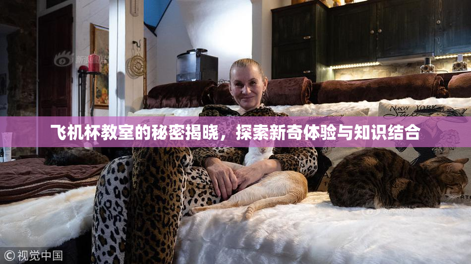 飞机杯教室的秘密揭晓，探索新奇体验与知识结合
