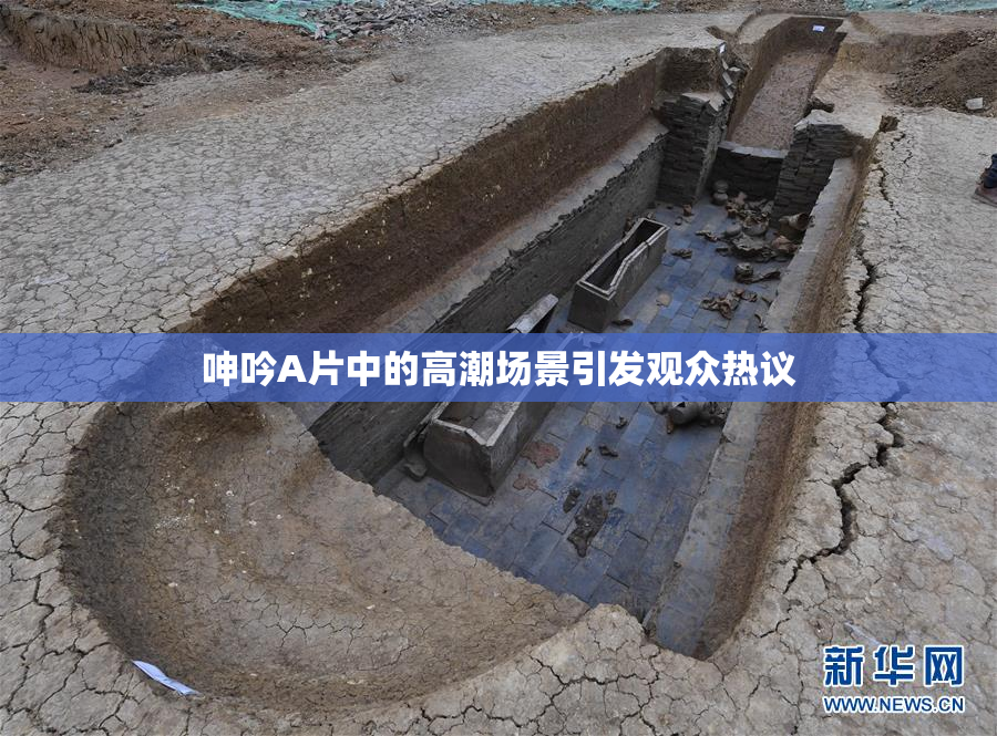 呻吟A片中的高潮场景引发观众热议