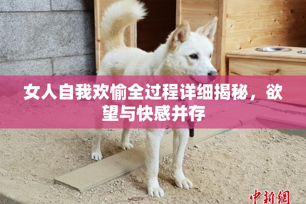 女人自我欢愉全过程详细揭秘，欲望与快感并存