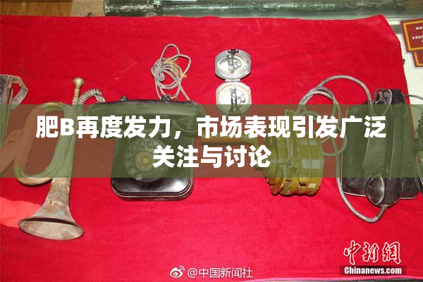 肥B再度发力，市场表现引发广泛关注与讨论