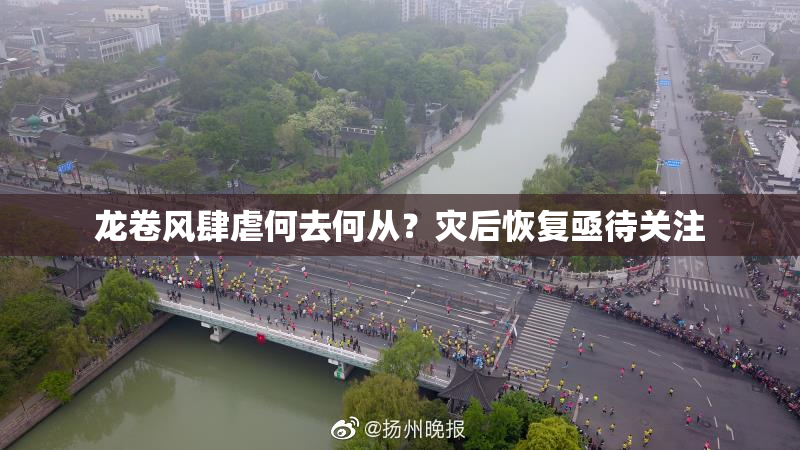 龙卷风肆虐何去何从？灾后恢复亟待关注