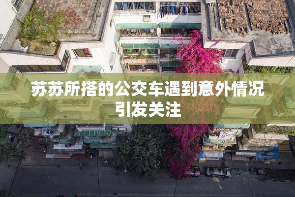 苏苏所搭的公交车遇到意外情况引发关注