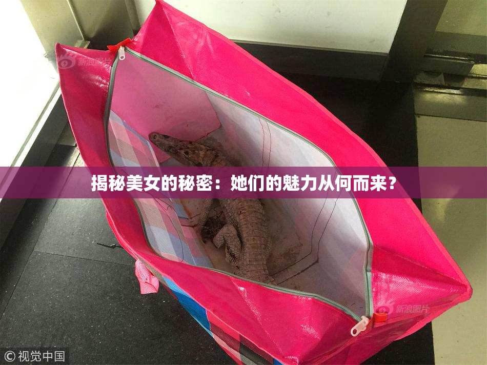 揭秘美女的秘密：她们的魅力从何而来？
