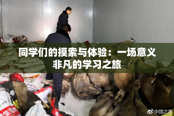 同学们的摸索与体验：一场意义非凡的学习之旅