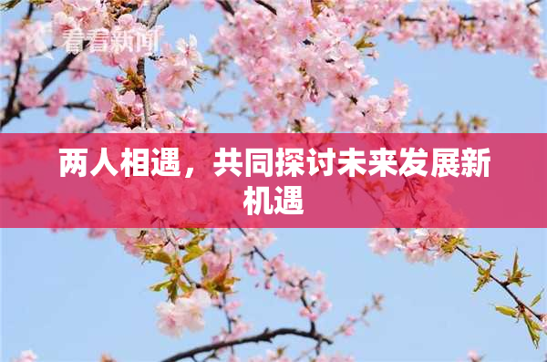 两人相遇，共同探讨未来发展新机遇