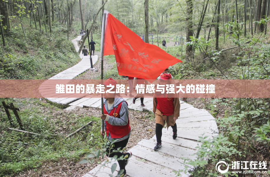 雏田的暴走之路：情感与强大的碰撞