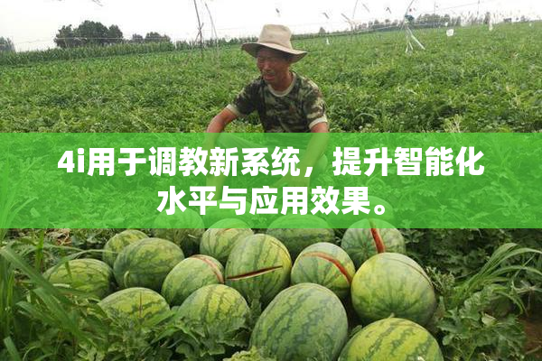4i用于调教新系统，提升智能化水平与应用效果。