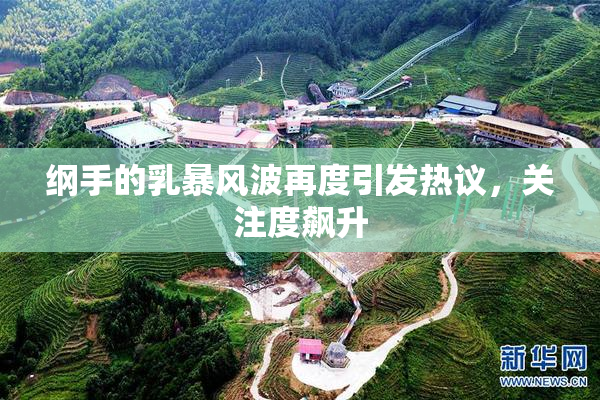 纲手的乳暴风波再度引发热议，关注度飙升