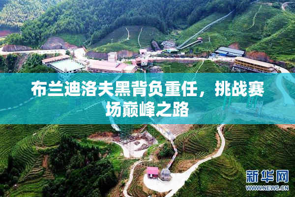 布兰迪洛夫黑背负重任，挑战赛场巅峰之路