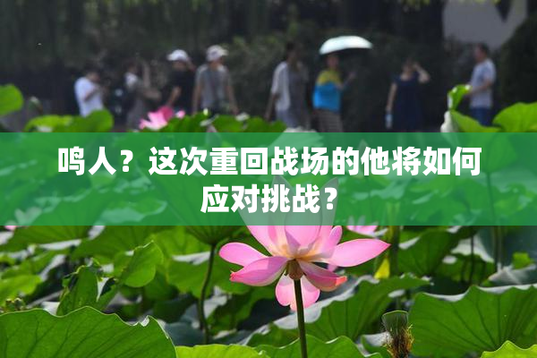 鸣人？这次重回战场的他将如何应对挑战？
