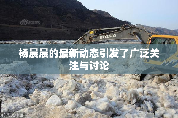 杨晨晨的最新动态引发了广泛关注与讨论