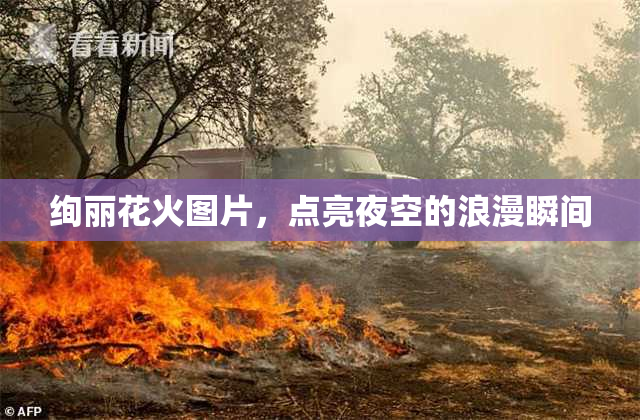 绚丽花火图片，点亮夜空的浪漫瞬间