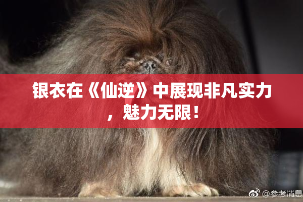 银衣在《仙逆》中展现非凡实力，魅力无限！