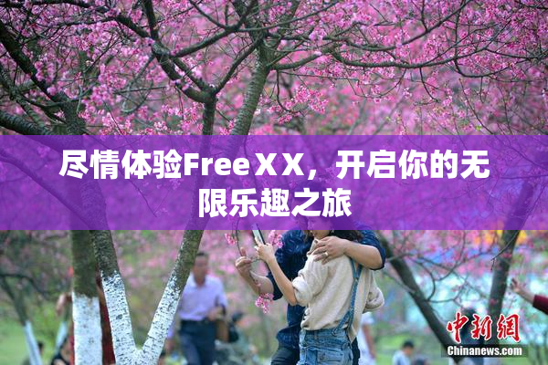 尽情体验FreeⅩX，开启你的无限乐趣之旅