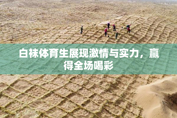 白袜体育生展现激情与实力，赢得全场喝彩