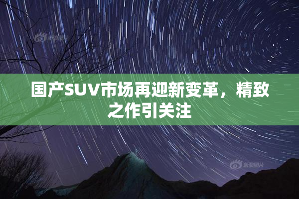 国产SUV市场再迎新变革，精致之作引关注