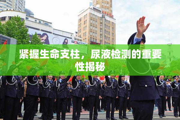 紧握生命支柱，尿液检测的重要性揭秘