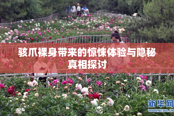 骇爪裸身带来的惊悚体验与隐秘真相探讨