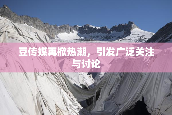豆传媒再掀热潮，引发广泛关注与讨论