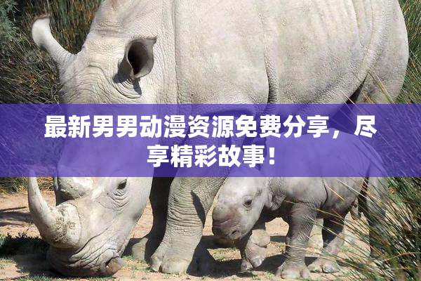 最新男男动漫资源免费分享，尽享精彩故事！