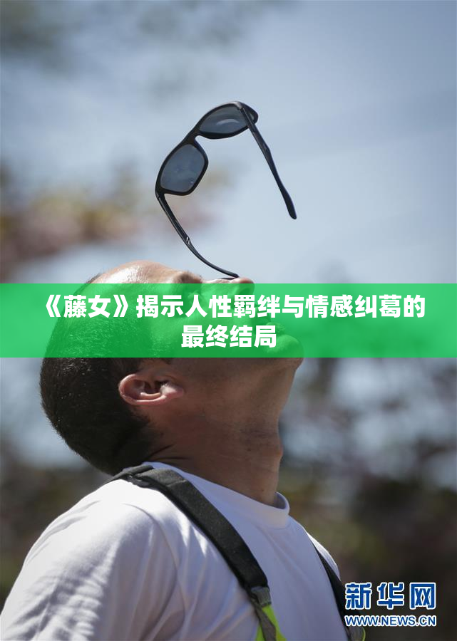 《藤女》揭示人性羁绊与情感纠葛的最终结局