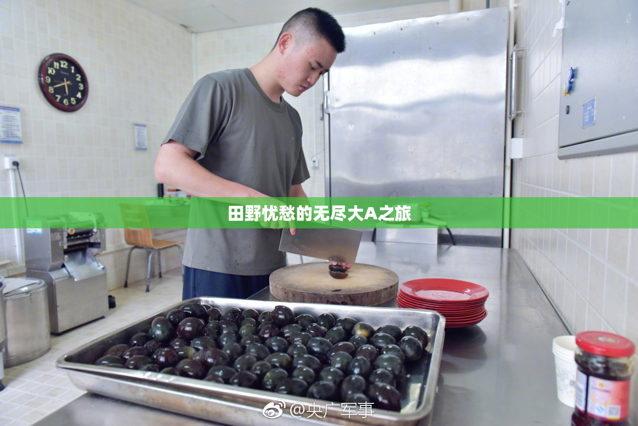 田野忧愁的无尽大A之旅
