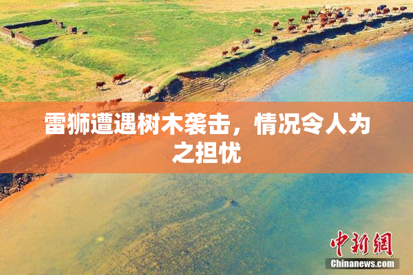 雷狮遭遇树木袭击，情况令人为之担忧