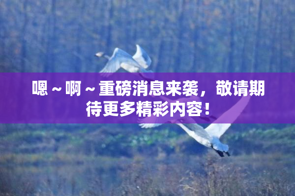嗯～啊～重磅消息来袭，敬请期待更多精彩内容！