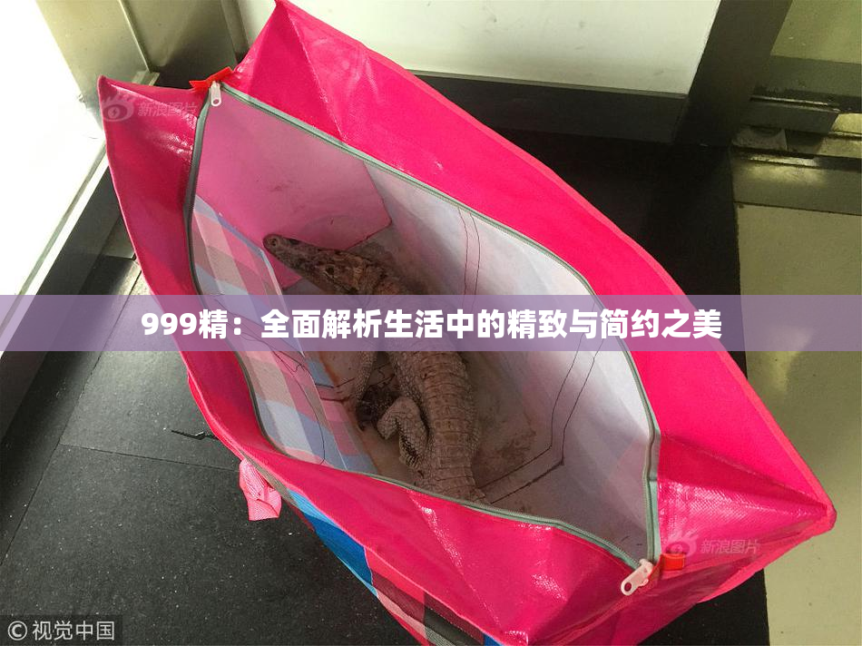 999精：全面解析生活中的精致与简约之美