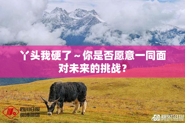 丫头我硬了～你是否愿意一同面对未来的挑战？
