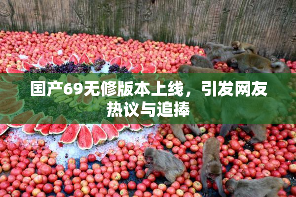 国产69无修版本上线，引发网友热议与追捧