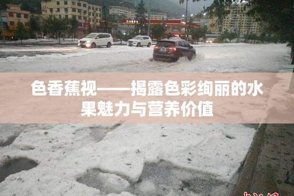 色香蕉视——揭露色彩绚丽的水果魅力与营养价值