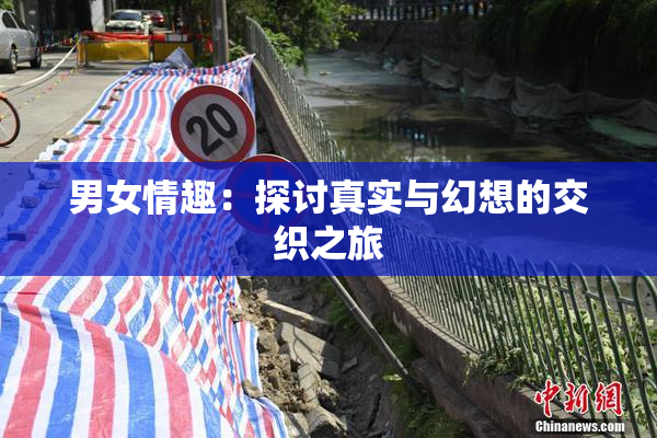男女情趣：探讨真实与幻想的交织之旅