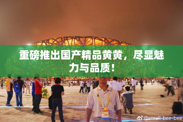 重磅推出国产精品黄黄，尽显魅力与品质！