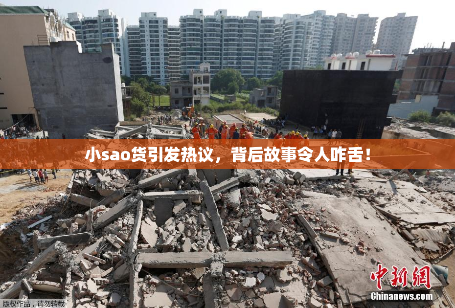 小sao货引发热议，背后故事令人咋舌！