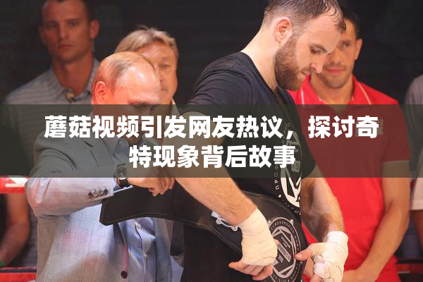 蘑菇视频引发网友热议，探讨奇特现象背后故事