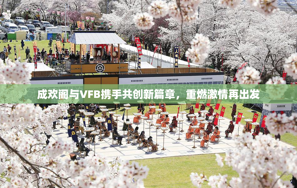 成欢阁与VFB携手共创新篇章，重燃激情再出发