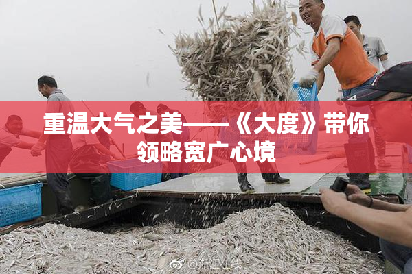 重温大气之美——《大度》带你领略宽广心境