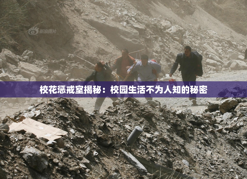 校花惩戒室揭秘：校园生活不为人知的秘密