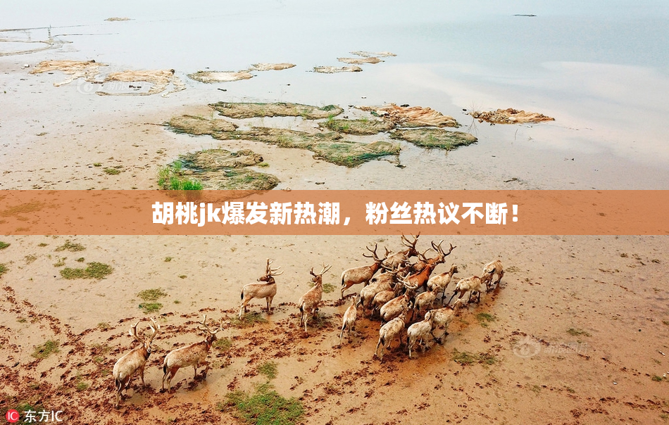 胡桃jk爆发新热潮，粉丝热议不断！