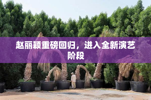 赵丽颖重磅回归，进入全新演艺阶段