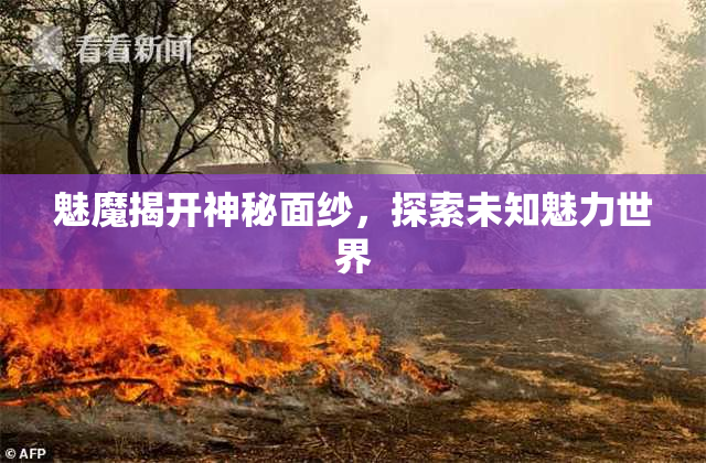 魅魔揭开神秘面纱，探索未知魅力世界