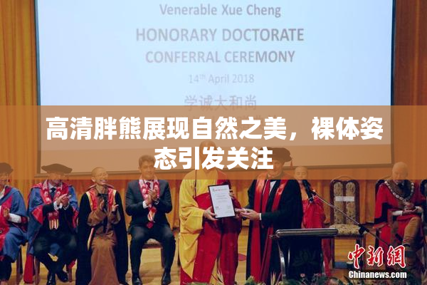 高清胖熊展现自然之美，裸体姿态引发关注
