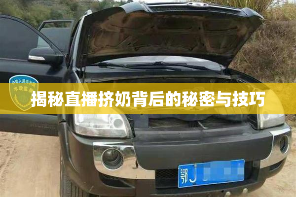揭秘直播挤奶背后的秘密与技巧