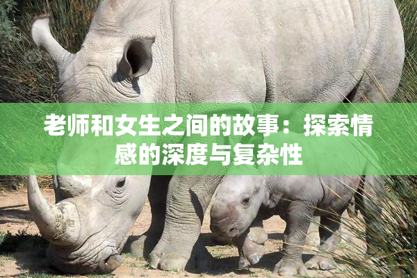 老师和女生之间的故事：探索情感的深度与复杂性