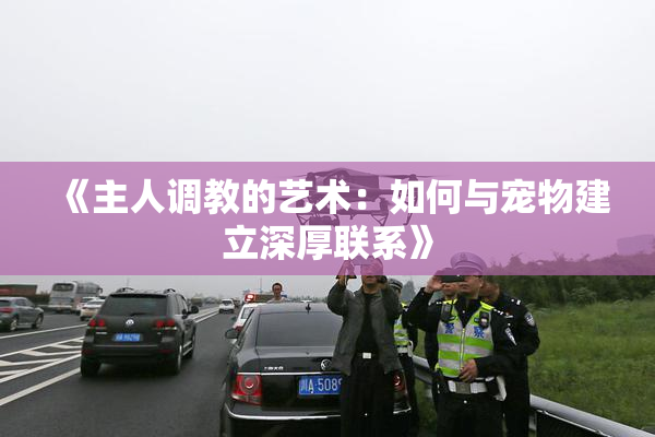 《主人调教的艺术：如何与宠物建立深厚联系》