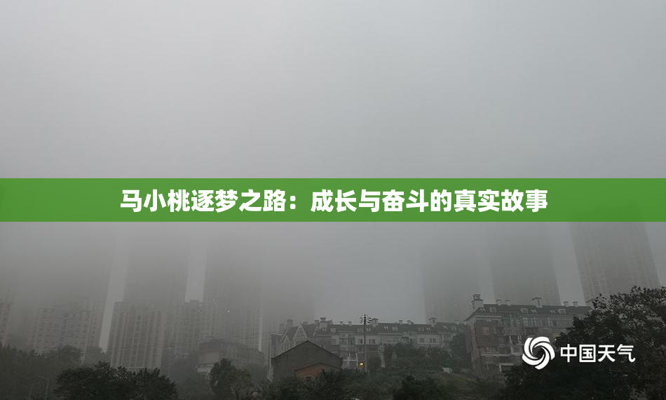 马小桃逐梦之路：成长与奋斗的真实故事